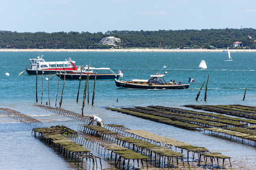 CAP FERRET, FRANCE - 07-05-2022: Small tourist boats, including a traditional Pinasse, pass by the oyster beds where an oyster farmer is working. In the background, a beach of Arcachon on the other side of the bay
