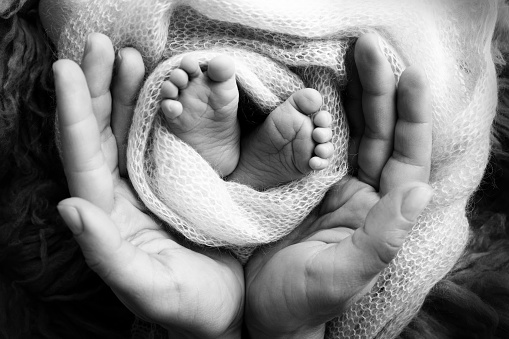Children's legs in the hands of mother, father, parents. Feet of a tiny newborn close up. Mom and her child. Happy family concept. Beautiful concept image of motherhood stock photo.