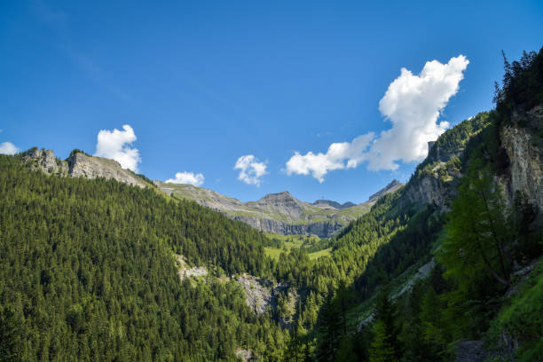 Beautiful nature in Swiss Alps above Crans Montana Beautiful nature in Swiss Alps above Crans Montana in canton of Valais in Switzerland crans montana stock pictures, royalty-free photos & images