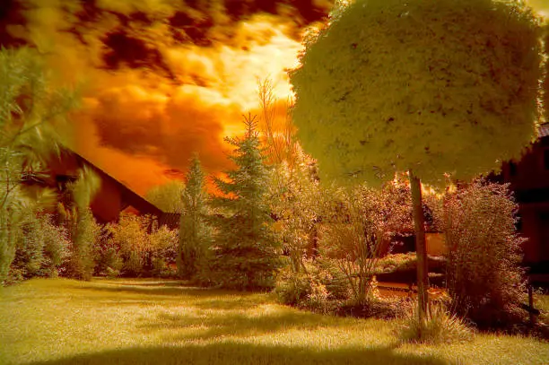 Infrared image of a garden in Helmstadt in Baden in Germany on 4.5.2005