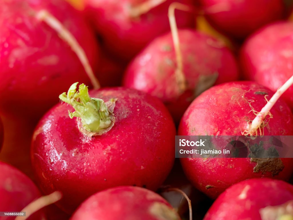 Closeup of radish Radish Stock Photo