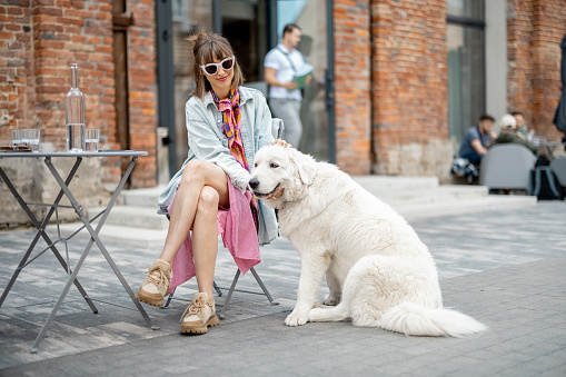 Young stylish woman cares her white dog while sitting at cafe terrace in modern office district