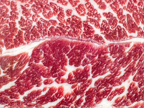 Abstract pattern of white fat on red beef