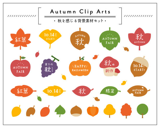 herbsthintergrund gesetzt. - chestnut autumn september leaf stock-grafiken, -clipart, -cartoons und -symbole