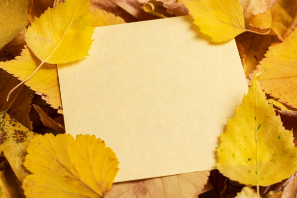 istock Autumn dry yellow leaves background. 1408857097