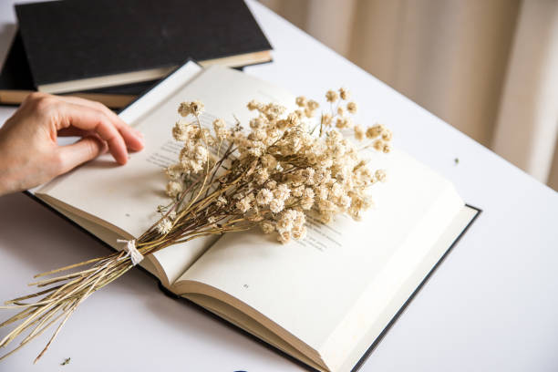 istock White table with some books on it. Conceptual image, representation of creativity, knowledge and leisure. 1408857216