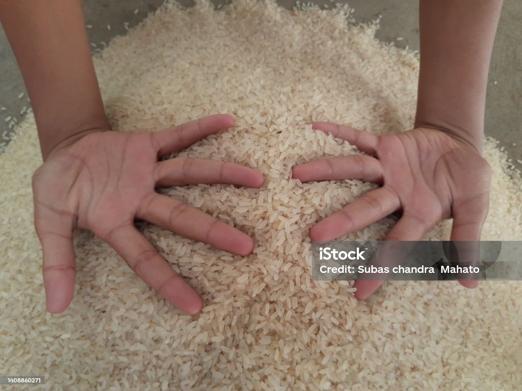 Pile of rice. Pile of rice.  Rice is a grain.  It is a food item that fills the stomach of a large population.  Asian Rice.  Save Grain Concept. Agriculture Stock Photo