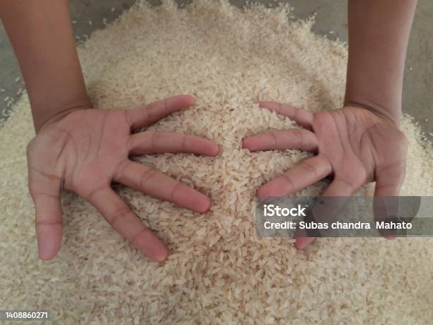 Pile Of Rice Stock Photo - Download Image Now - Agriculture, Asian Rice, Close-up