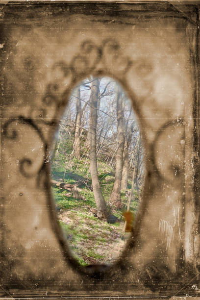old vintage mirror with green forest and blue sky reflection, surreal art concept - mirror reflection mystery frame imagens e fotografias de stock