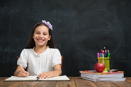 Back To School Concept, Happy Smiling Child Student Studying