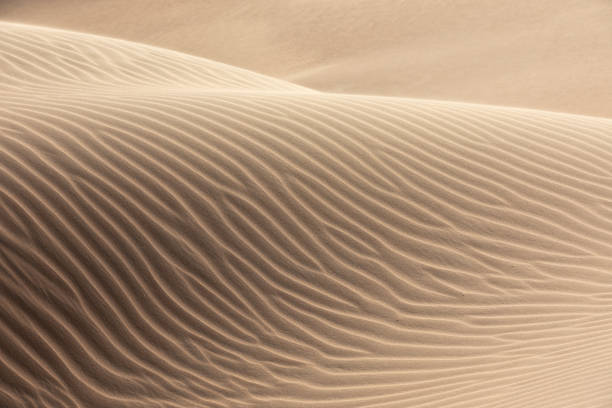 istock Desert landscape during sunrise. 1408866194
