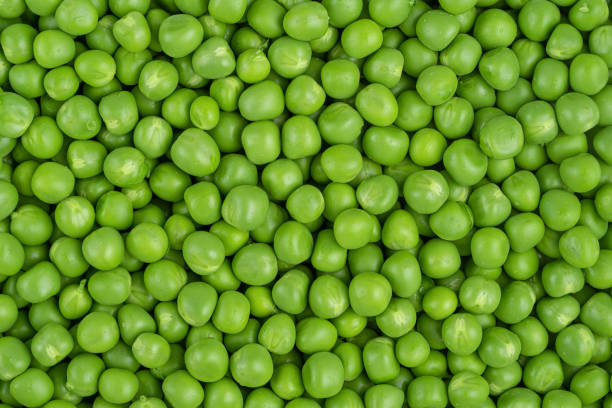 patrón de guisantes verdes, vista superior. comida vegetariana saludable - guisante fotografías e imágenes de stock