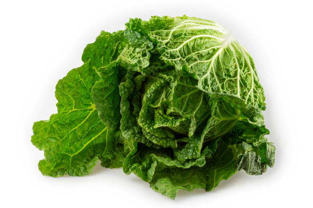 istock Green chard isolated on white background. 1408870044