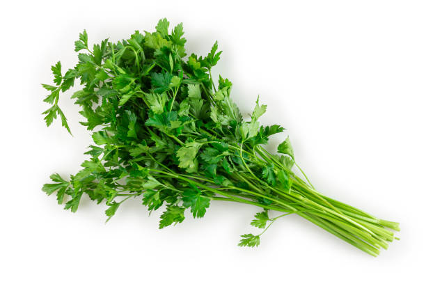 istock Parsley isolated on white background. 1408870760