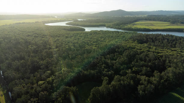 istock Aerial View with a River and Forest 1408871512