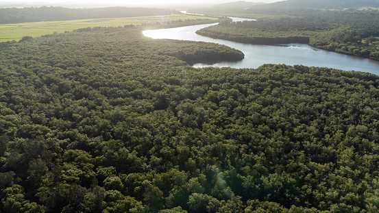 Aerial View with a River and Forest