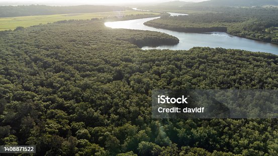 istock Aerial View with a River and Forest 1408871522