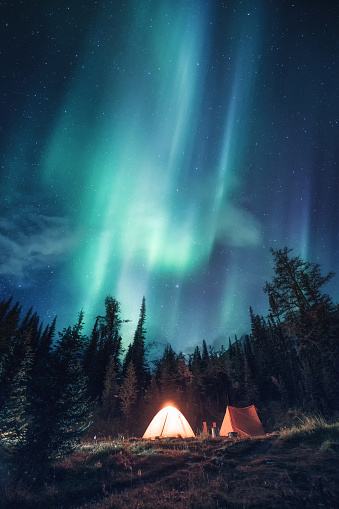 Tents camping on campground with aurora borealis over the forest in national park
