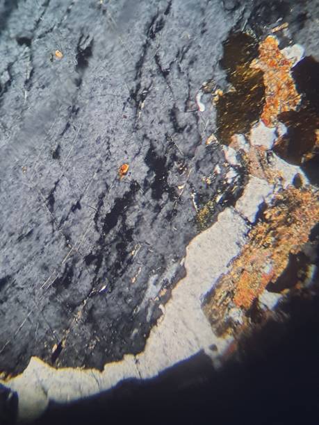Stone Microscope 120+ Gemological Microscope Stock Photos, Pictures & Royalty-Free ...