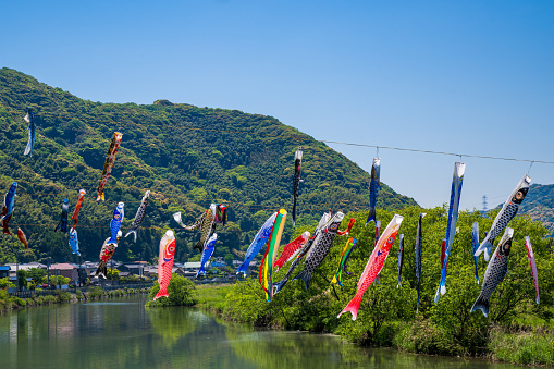 A carp streamer fluttering in the blue sky at an annual event in Japan, hoping for the health of boys
