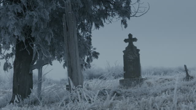 Old cemetery crosses at winter