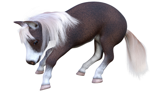 3D rendering of a pony or a small horse or Equus ferus caballus isolated on white background