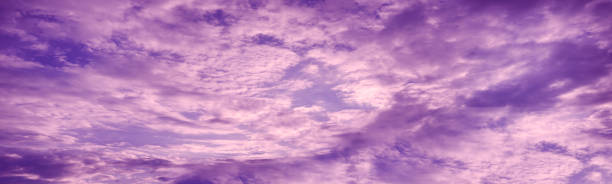 purple pink sunset view. sky with fluffy clouds. beautiful sunset background with space for design. - romantisk himmel bildbanksfoton och bilder