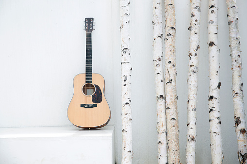 Outdoor shooting, guitar, white walls, branches, white, art, decoration