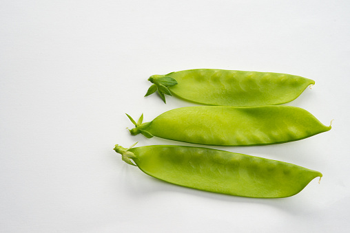 The variety produces large thin and tender pods which are good in salads.