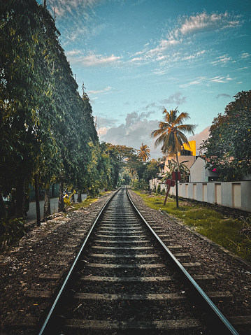 A lone, long railroad track in Galle with a line of trees besides it.