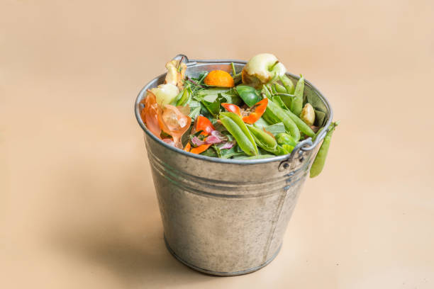 Sorted organic kitchen waste in compost-bucket. Sustainable life style concept. Compost-container. Peels, scraps from food preparation collected for recycling, humus and natural fertilizer stock photo