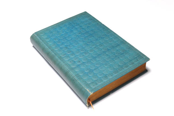 Minimalistic top view of a closed blue hardcover book on a wooden table, with soft focus greenery in the foreground. The composition combines natural elements with a clean, flat layout, making it ideal for use in educational, publishing, or digital mockup themes.