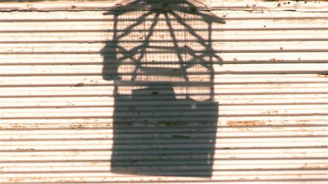 Reflection of A Birdcage on Roller Door in a Street Shop, Silhouette of the Shadow of a Birdcage Hanging Outdoors Against a Closed Store with Rolling Shutters. Close Up.