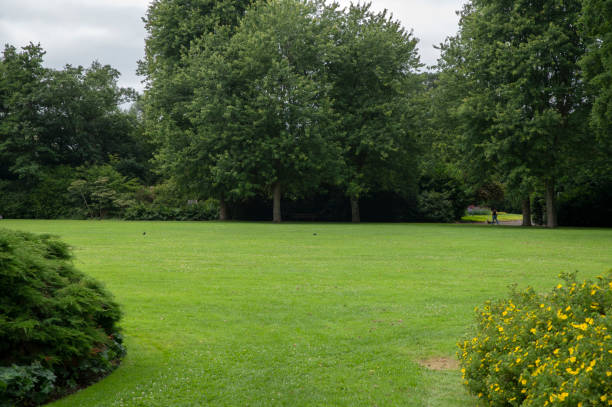 istock The Broersepark Park At Amstelveen The Netherlands 1408923016