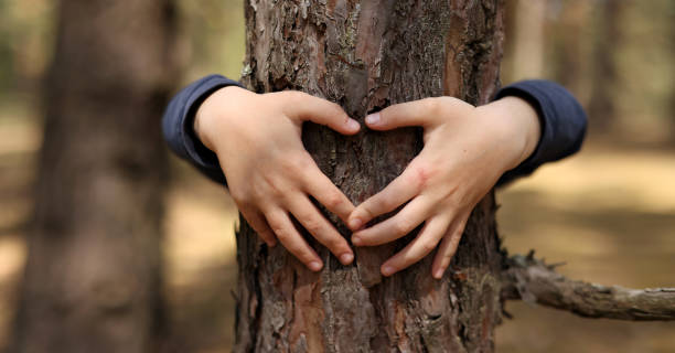 istock Child hug a tree in forest. Concept of global problem of carbon dioxide and global warming.Child's hands making a heart shape on a tree trunk. Love of nature. Hands around the trunk of a tree. 1408923465