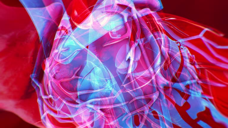 Beating Blood 170+ Blood Flow Chart Stock Videos and Royalty-Free Footage - iStock