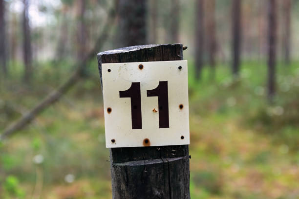 istock Wooden pole with number 11 in a forest 1408926278