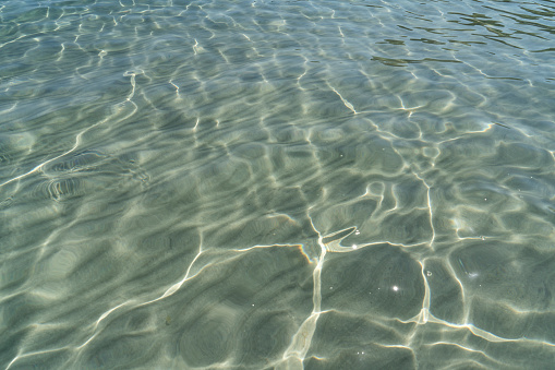 One fish swimming just above the seabed in a warm Aegean sea in Greece.