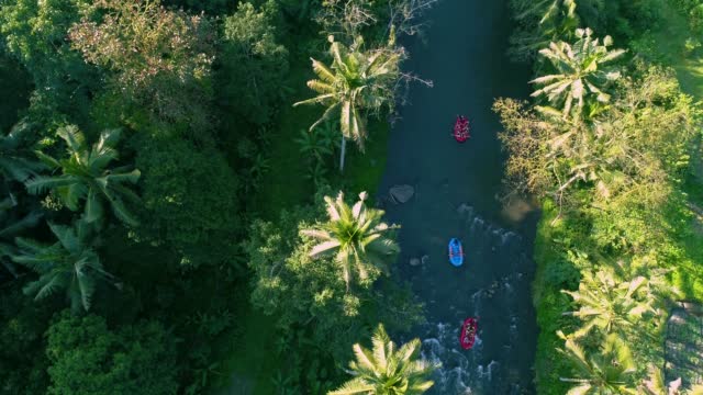 Aerial top down view whitewater rafting jungle river, popular attraction for tourists in Bali