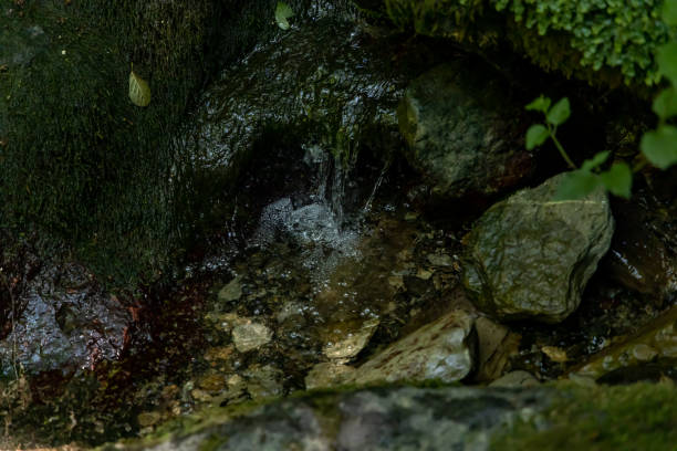 a small mountain stream flowing down from the stones