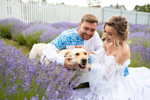 istock Young couple in a lavender field with a labrador 1408936306