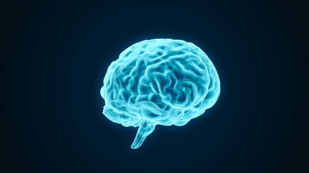 istock Human brain transparent scan 3D rendering, futuristic digital mind neural network intelligence concept, AI technology 1408942960