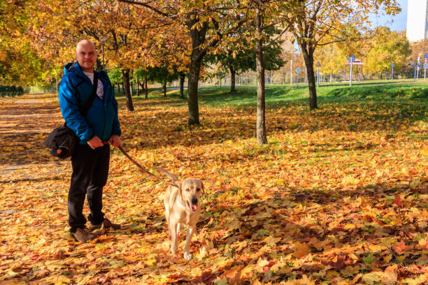 istock Handsome man walking his labrador retriever dog in autumn park 1408943013