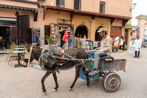 Marrakesh Morocco on May 24, 2022: The old medina world heritage site by UNESCO. Cityscape with donkey cart.