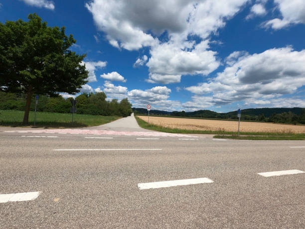 istock Country road in green nature 1408946027