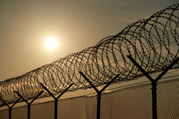 Border fence from an airport. Security device made of round steel wire protects. Backlight in the evening. Border fence from an airport. Security device made of round steel wire protects. Backlight in the evening. prison stock pictures, royalty-free photos & images