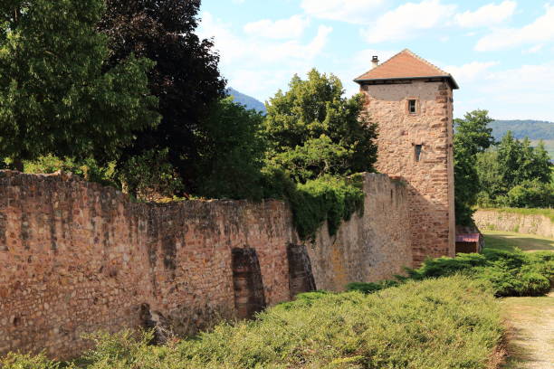 istock Bergheim, alsatian village 1408947806