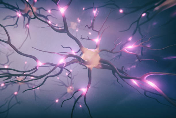 istock Visualization of neuron and neural network with signals 1408949469
