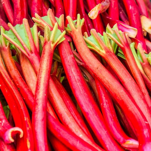 istock Farmer's market rhubarb 1408950836