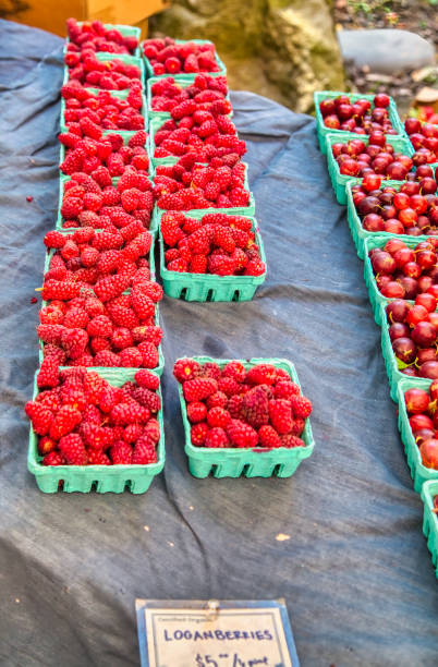 cartons of farmer's market red loganberries stock photo